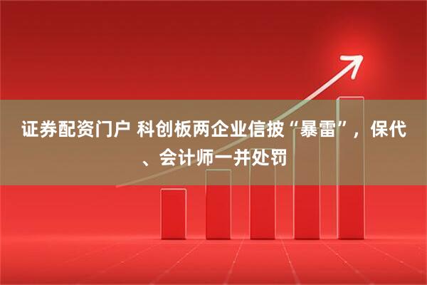 证券配资门户 科创板两企业信披“暴雷”，保代、会计师一并处罚